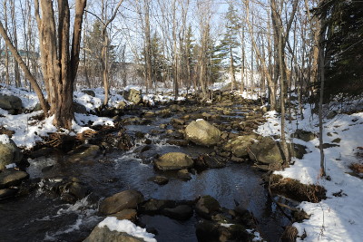 Shadow's Place in Shubie Park